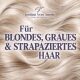 Premium-Pflegeritual für blondes Haar – Shampoo 500 ml + Spülung 500 ml + regenerierendes Haaröl 50 ml als Geschenk