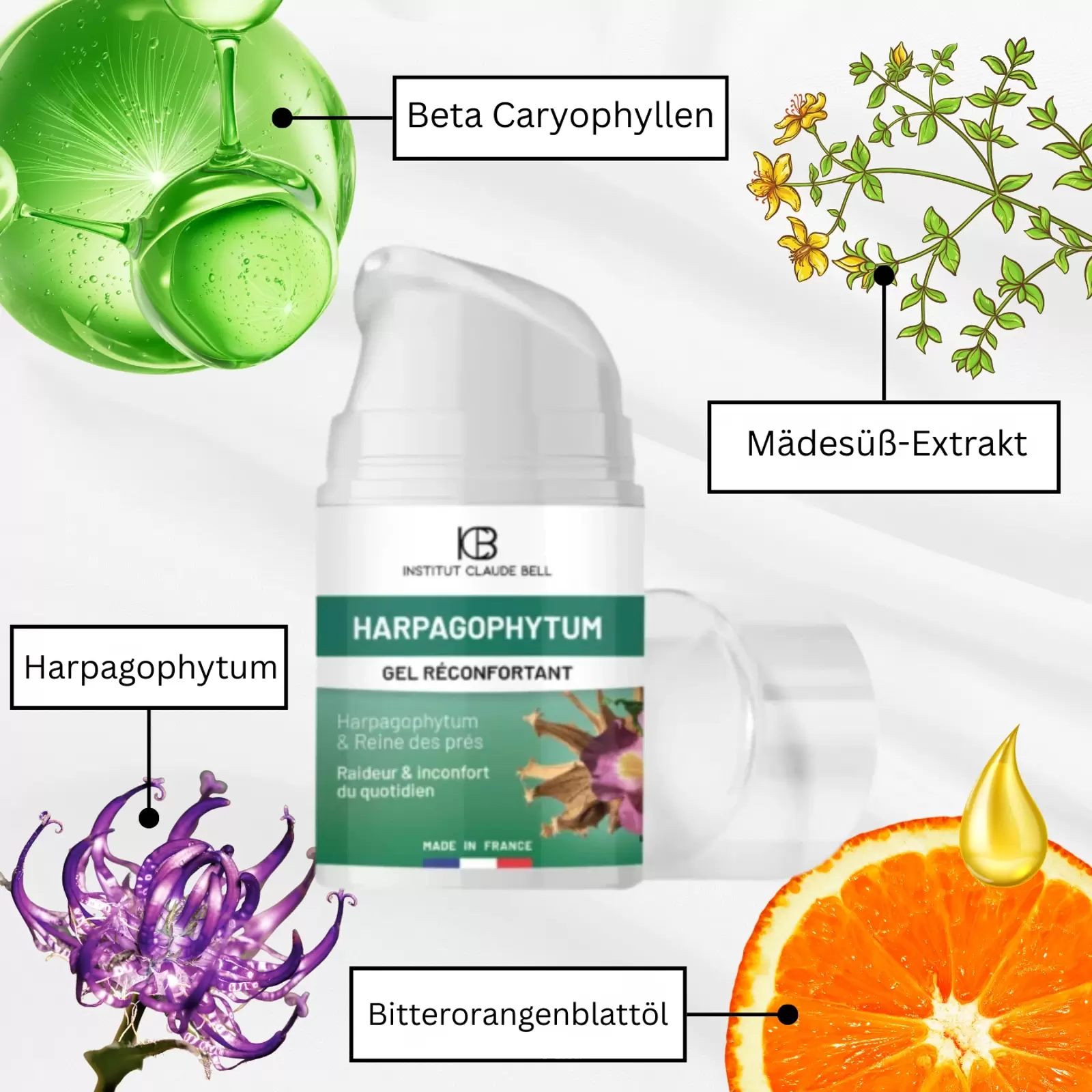 Beruhigendes Gel mit Harpagophytum (Teufelskralle): für Gelenke, Entzündungen, Arthrose, Rückenschmerzen und Muskelverspannungen Beruhigendes Gel mit Harpagophytum (Teufelskralle): für Gelenke, Entzündungen, Arthrose, Rückenschmerzen und Muskelverspannungen